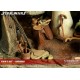 Star Wars Diorama 1/6 Yoda´s Dagobah Hut